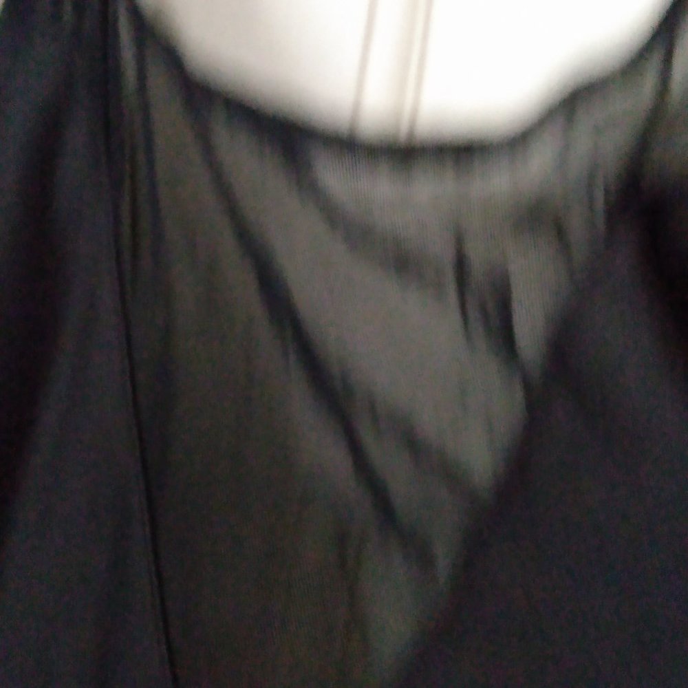 Dreamgirls Ultra Sexy Black Sheer long gown Size large. Netting